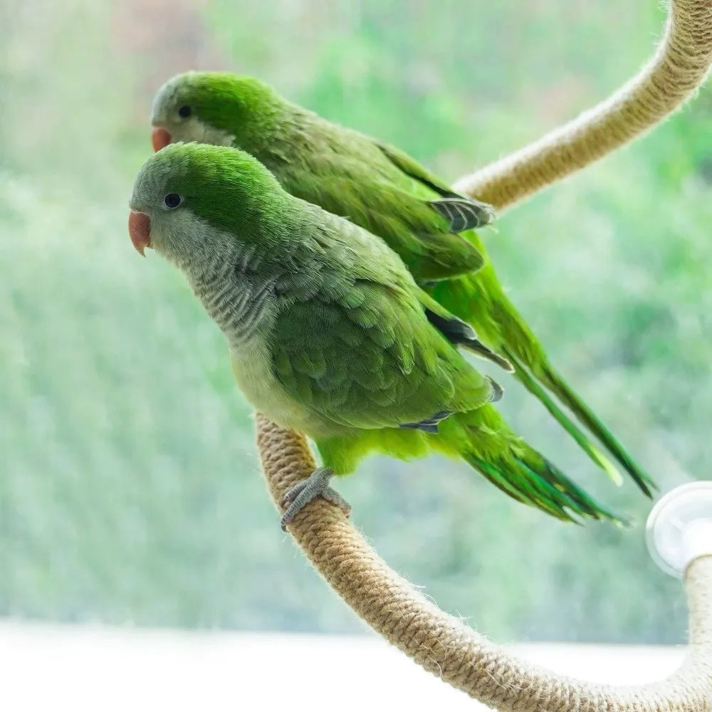 Linen Rope DIY Bendable Perch for Birds Non-slip Comfortable Grip Suction Cup Bird Climbing Rope Stable Durable