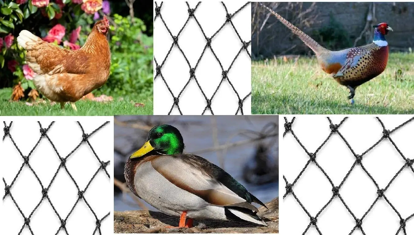 Bird Netting Heavy Duty Anti Bird Deer Protective Net Garden Netting for Crops Protecion Against Birds, Cat ,Deer and Animals