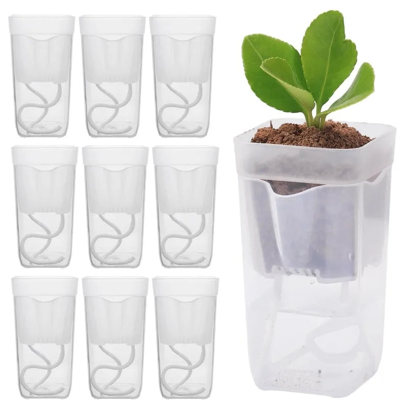 5/1pcs Transparent Self Watering Pots Automatic Absorbent Cotton Wick Plant Pot Garden Seedlings Flowerpot Nursery Cups Planters