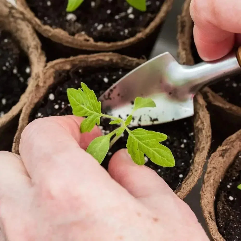 50Pcs Plant Pots Nursery Cups Garden Tray Biodegradable Paper Pulp Peat Pots 6/8cm Plant Grow Bags For Home Garden Accessories