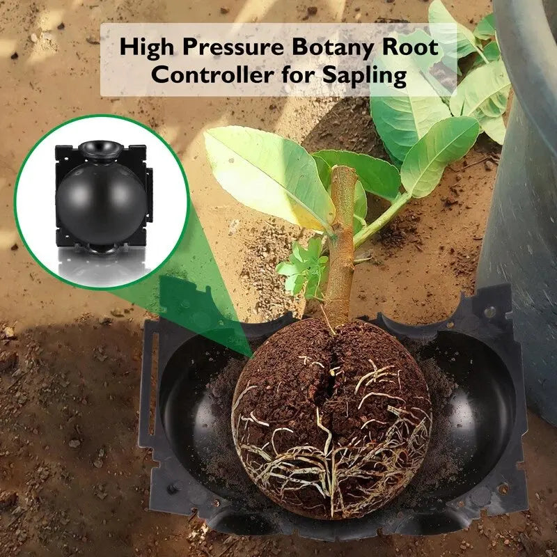 10-100PCS Plant Rooting Ball Grafting Rooting Box Breeding Case High Pressure Plant Root Growing Box For Garden Planting Supply