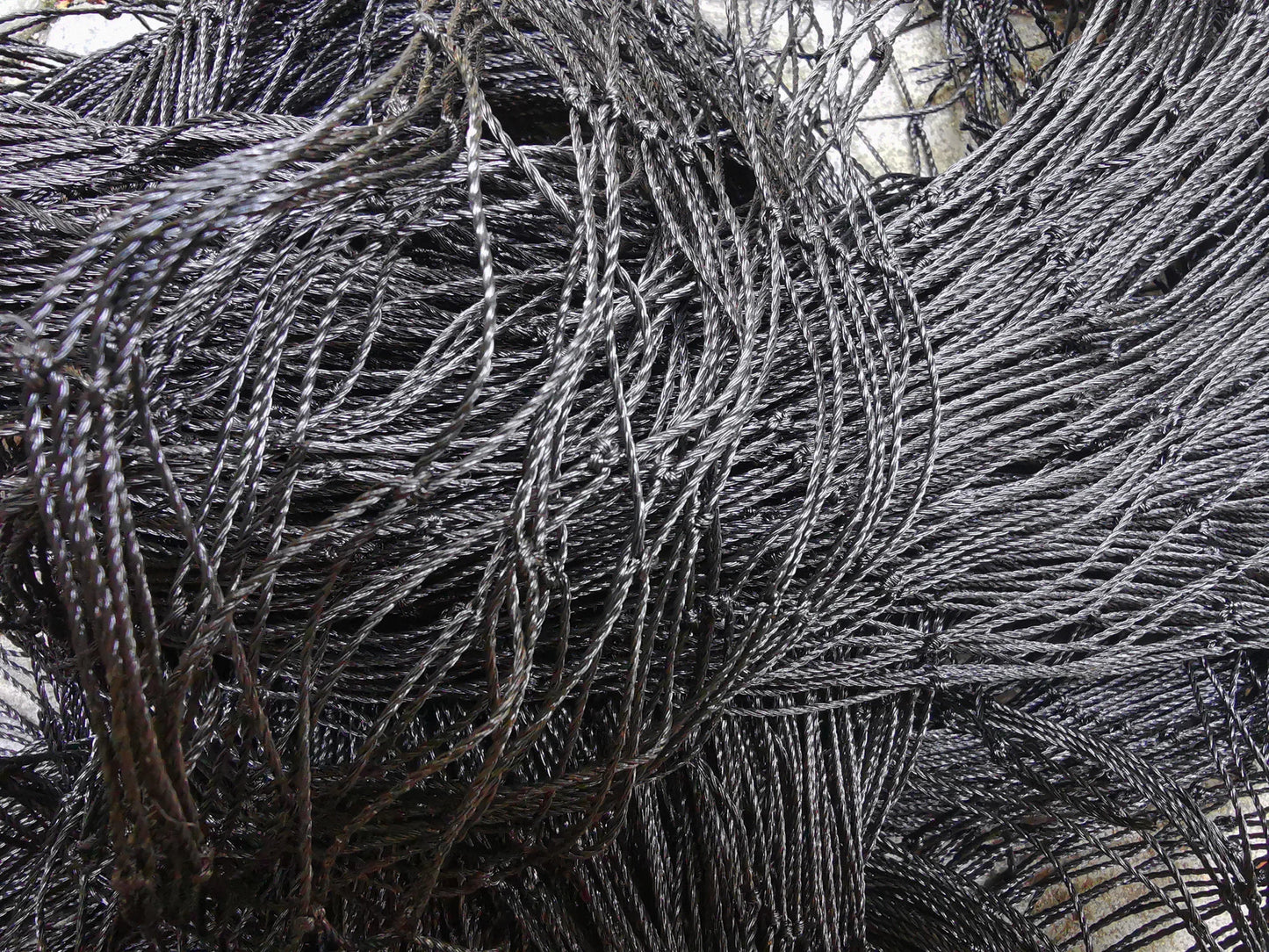 Bird Netting Heavy Duty Anti Bird Deer Protective Net Garden Netting for Crops Protecion Against Birds, Cat ,Deer and Animals