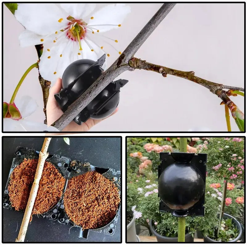 10-100PCS Plant Rooting Ball Grafting Rooting Box Breeding Case High Pressure Plant Root Growing Box For Garden Planting Supply