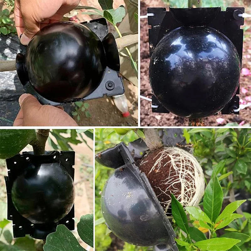 10-100PCS Plant Rooting Ball Grafting Rooting Box Breeding Case High Pressure Plant Root Growing Box For Garden Planting Supply