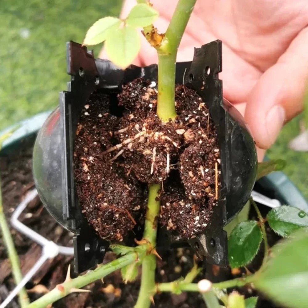 5/8/12cm Air Layering Pods Plant Rooting Ball High Pressure Propagation Root Grow Box Graft Breeding Case Planting Nursery Pot