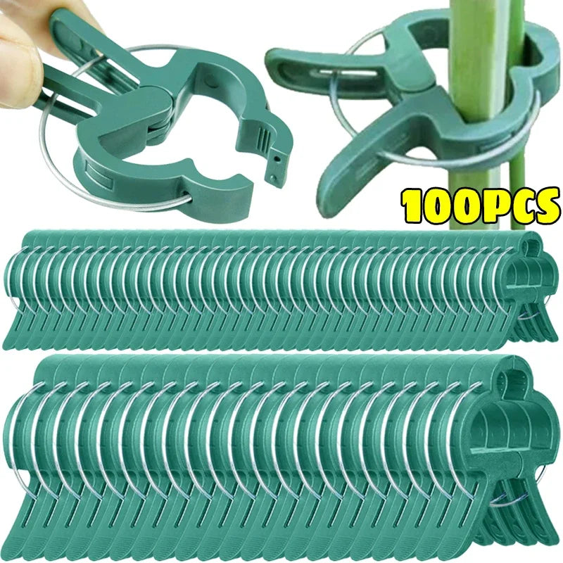 Plant Fixed Clips Reusable Greenhouse Bracket forFixing Stems of Flower Vine Vegetables Tomatoes Fastener Garden Supplies