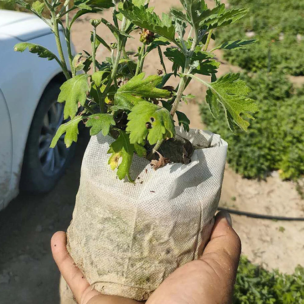 100Pcs Plant Grow Bags Nursery Bags Seeds To Sow Flower Pots Biodegradable Non-woven Fabric For Home Garden Accessories Tools