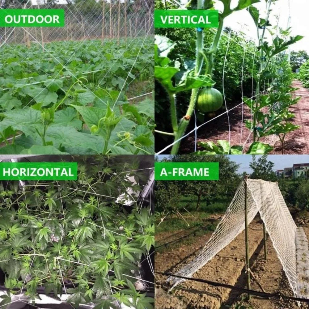 Horticultural Plant Climbing Net, Polyester Woven Net, Suitable for Other Climbing Plants Such As Tomatoes, Beans, Grapes, Etc