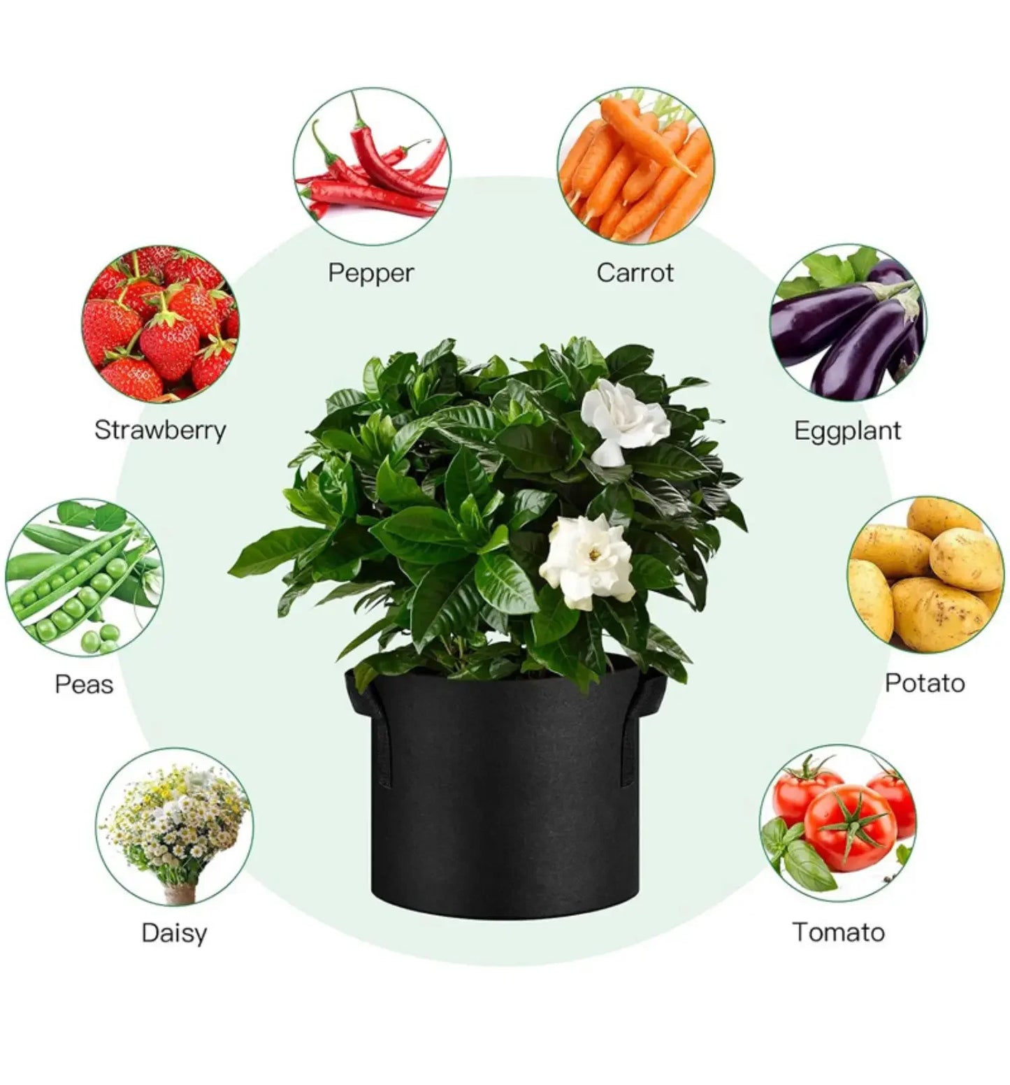 5-Pack Grow Bags/Aeration Fabric Pots with Handles(Available Capacities: 3 Gallon，4 Gallon, 5 Gallon, 7 Gallon, 30 Gallon)