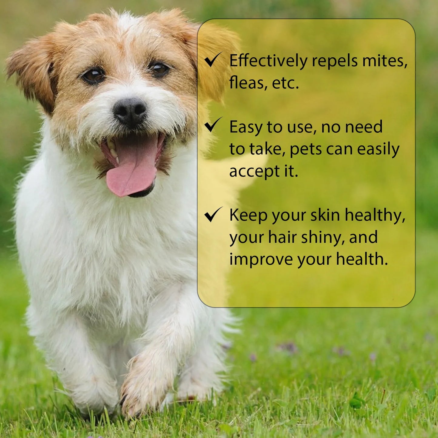 Cat Anti Flea Drops Flea Lice Remove Relieve Skin Itching External Insect Repellent Deworming Supplies Pet Tick Treatment Drops