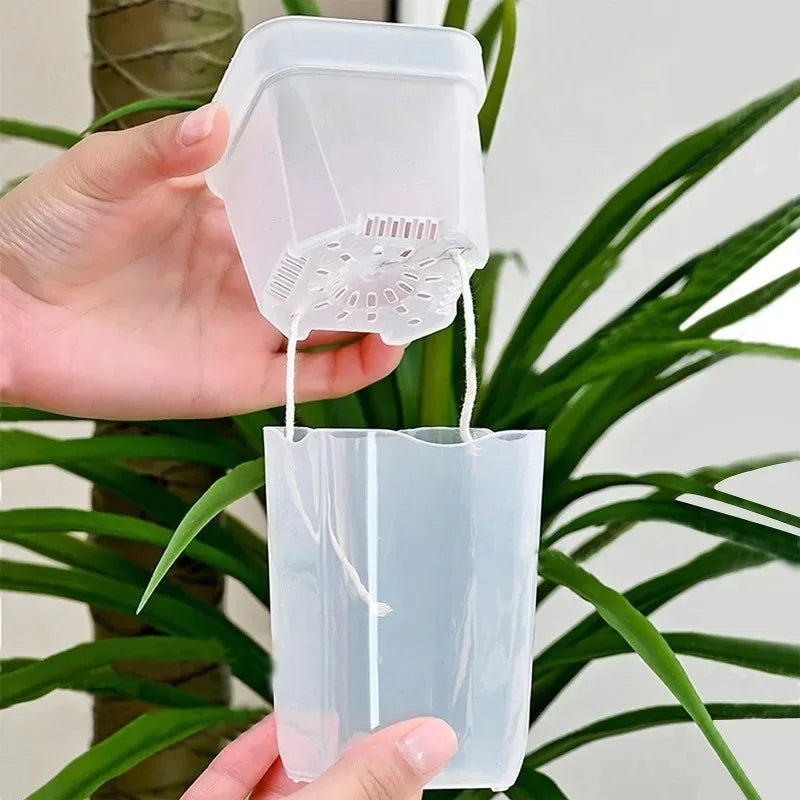 5/1pcs Transparent Self Watering Pots Automatic Absorbent Cotton Wick Plant Pot Garden Seedlings Flowerpot Nursery Cups Planters