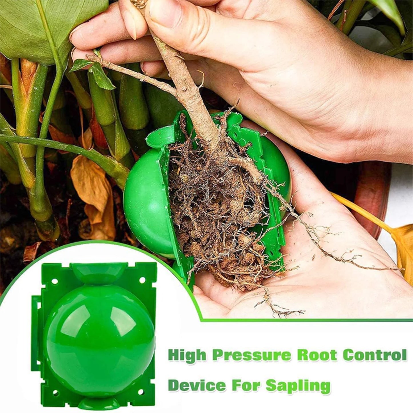 10-100PCS Plant Rooting Ball Grafting Rooting Box Breeding Case High Pressure Plant Root Growing Box For Garden Planting Supply