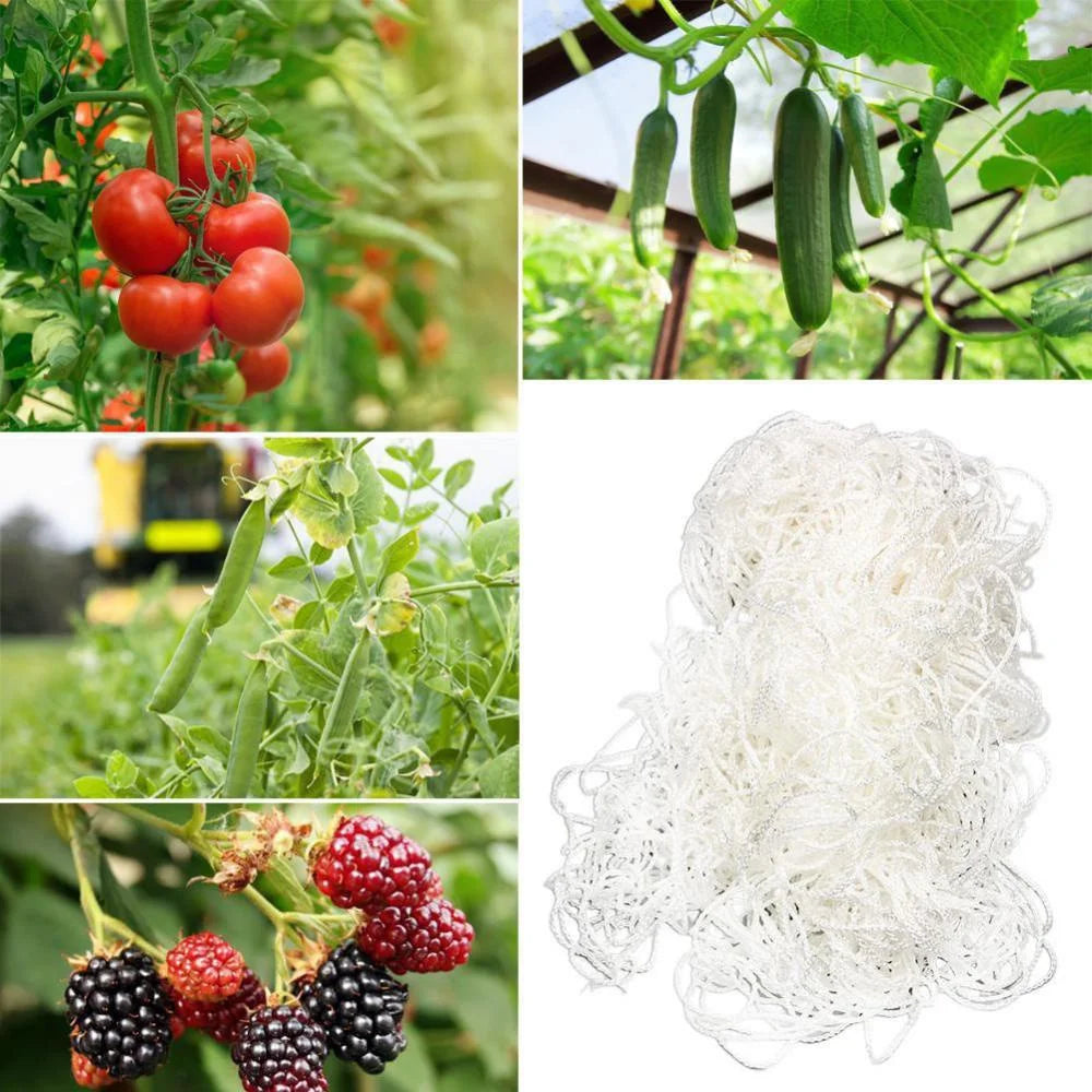 Horticultural Plant Climbing Net, Polyester Woven Net, Suitable for Other Climbing Plants Such As Tomatoes, Beans, Grapes, Etc