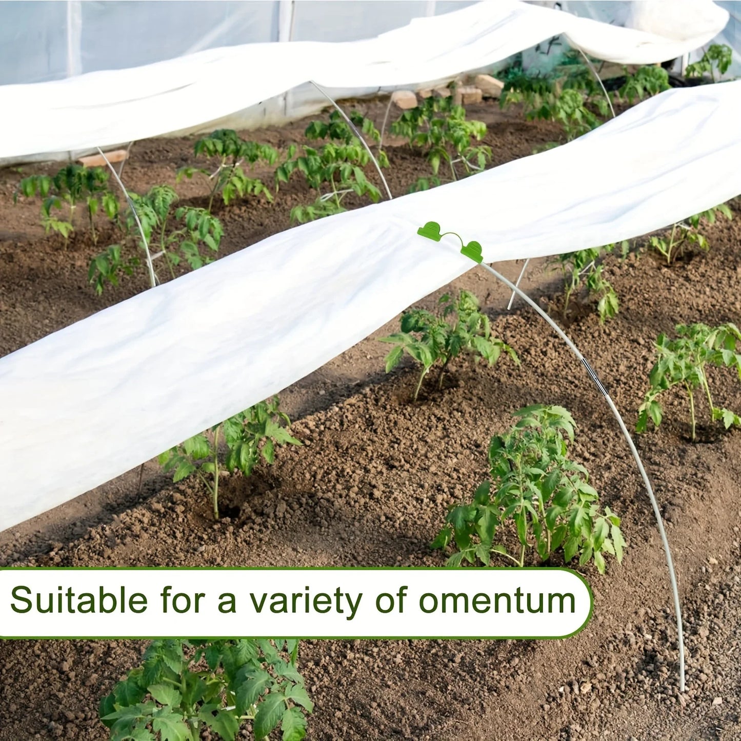 Greenhouse hoops suitable for DIY or wider plant tunnels, rust resistant fiberglass poles, and plant supported garden stakes