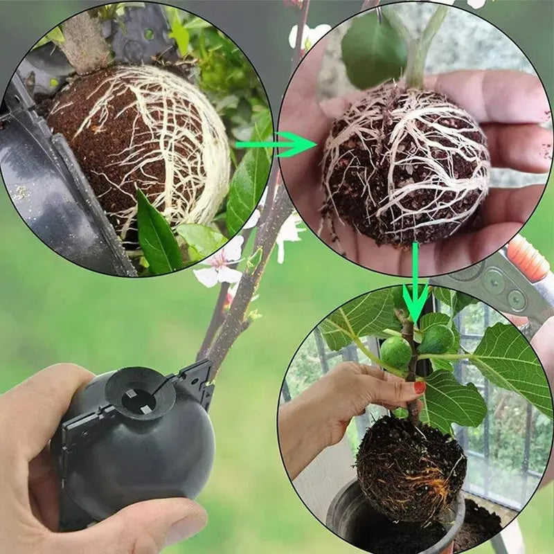 10-100PCS Plant Rooting Ball Grafting Rooting Box Breeding Case High Pressure Plant Root Growing Box For Garden Planting Supply