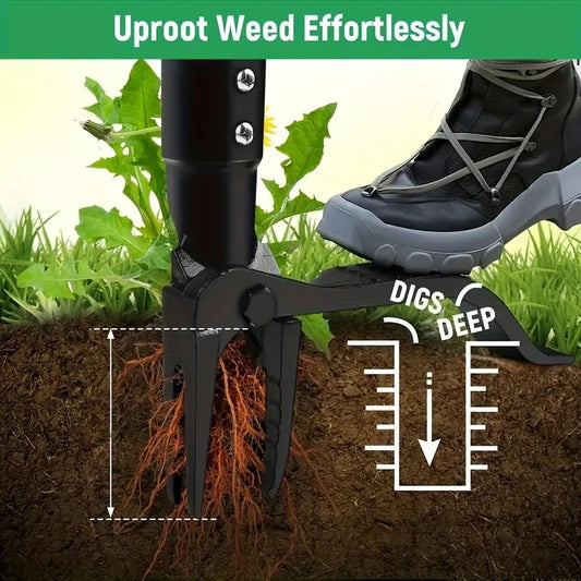 Heavy-Duty Stainless Steel 4-Prong Weed Puller, Adjustable Height Lawn with Long Handle, Sturdy Root Killer for Root Removal