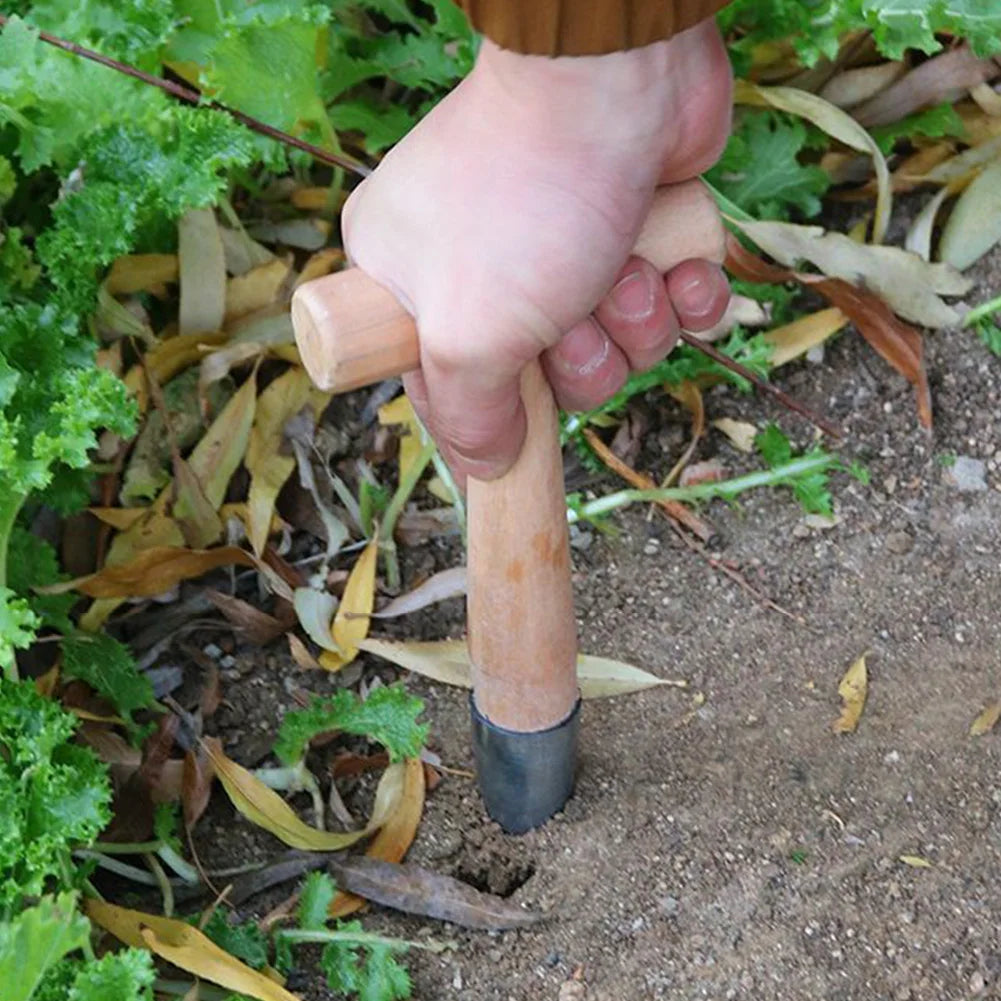 1/2PCS T-Wood Handle Hand Sow Dibbler Sowing Seeds Bulbs Digging Garden Dibber Planter Tool Transplanting Seed Dispenser Garden