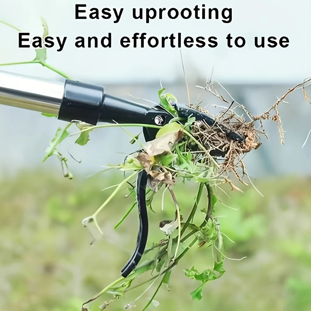 Heavy-Duty Stainless Steel 4-Prong Weed Puller, Adjustable Height Lawn with Long Handle, Sturdy Root Killer for Root Removal