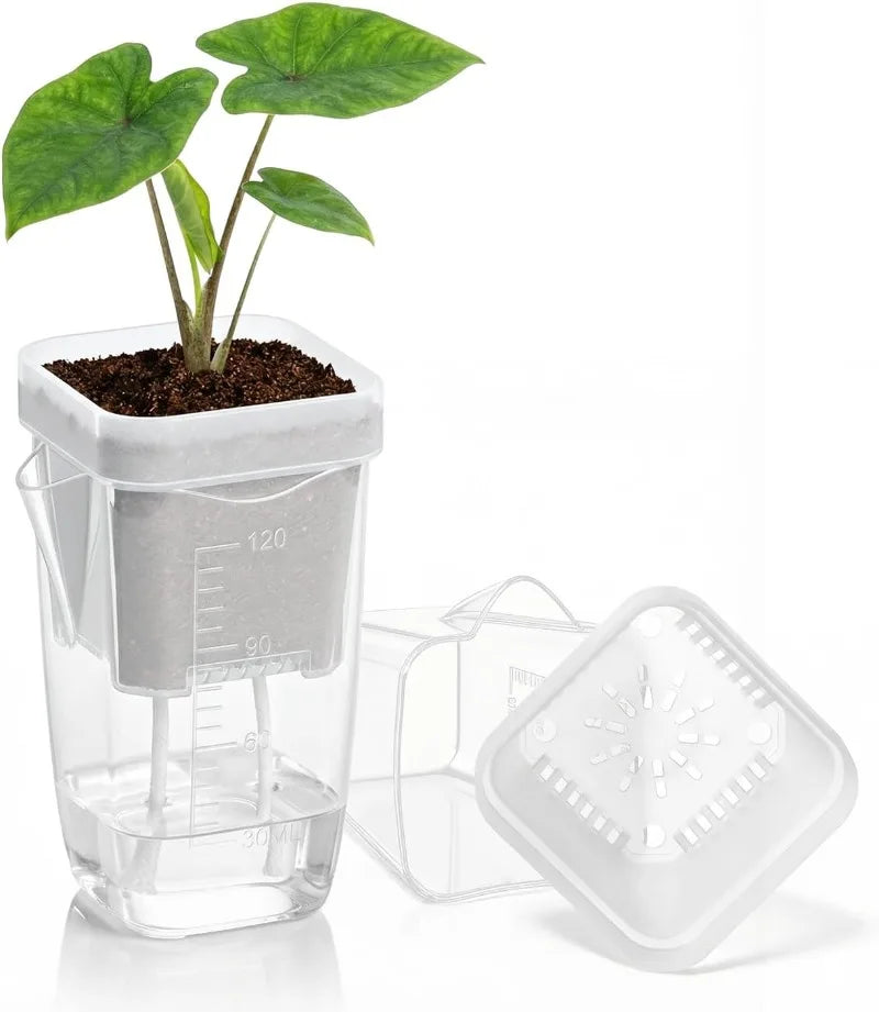 5/1pcs Transparent Self Watering Pots Automatic Absorbent Cotton Wick Plant Pot Garden Seedlings Flowerpot Nursery Cups Planters