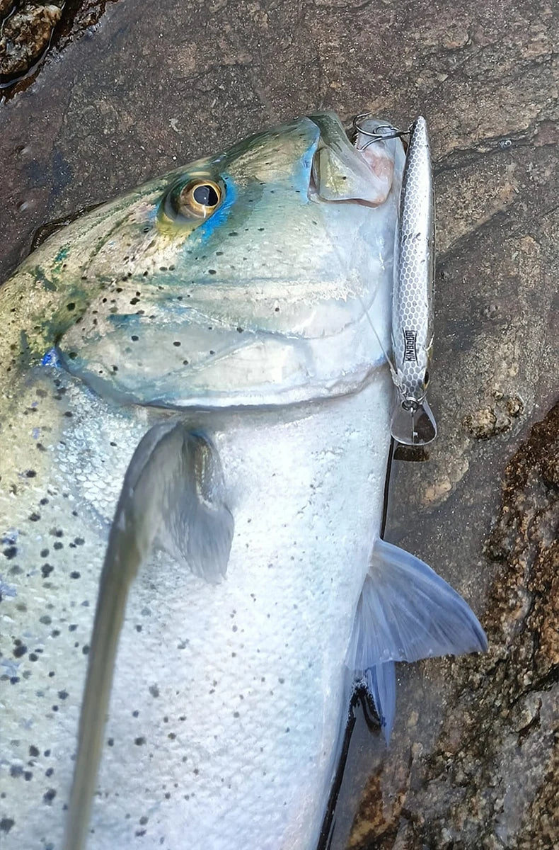 Kingdom Sinking Minnow Saltwater Fishing Lures  Crankbait  Hard Baits Good Action Wobblers Artificial Trout Lure For Sea Bass