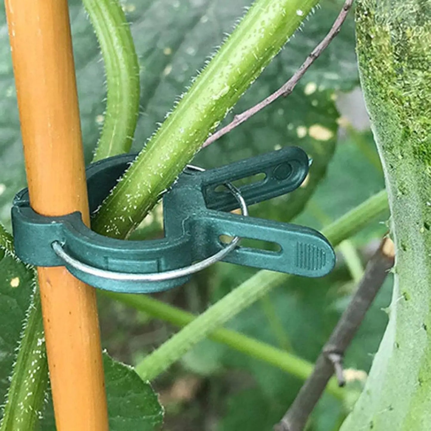 Plant Fixed Clips Reusable Greenhouse Bracket forFixing Stems of Flower Vine Vegetables Tomatoes Fastener Garden Supplies