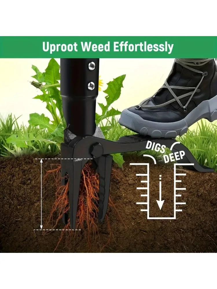 Heavy-Duty Stainless Steel 4-Prong Weed Puller, Adjustable Height Lawn with Long Handle, Sturdy Root Killer for Root Removal