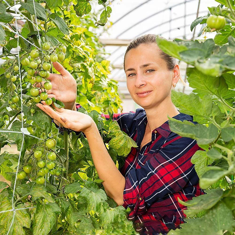 Horticultural Plant Climbing Net, Polyester Woven Net, Suitable for Other Climbing Plants Such As Tomatoes, Beans, Grapes, Etc