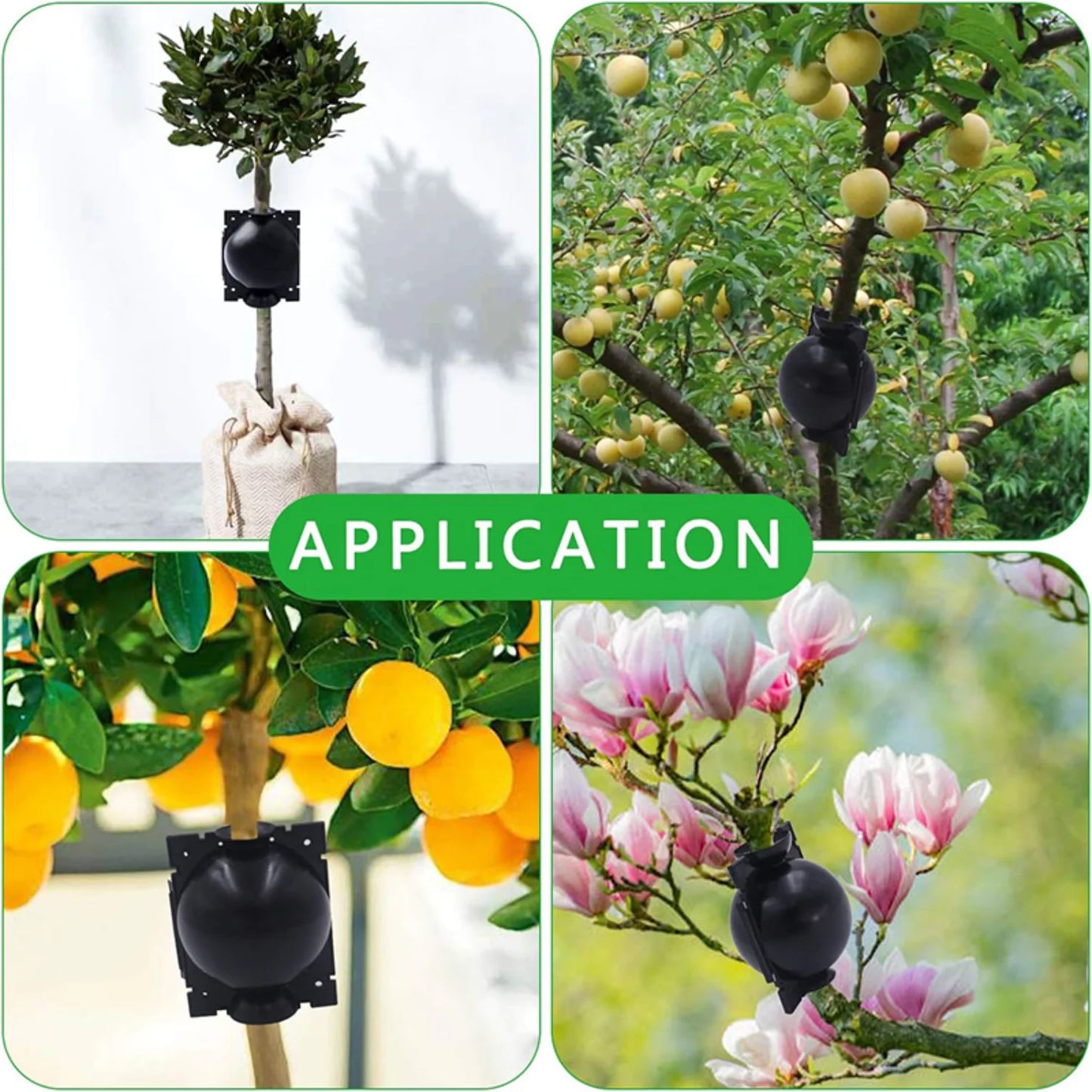 10-100PCS Plant Rooting Ball Grafting Rooting Box Breeding Case High Pressure Plant Root Growing Box For Garden Planting Supply