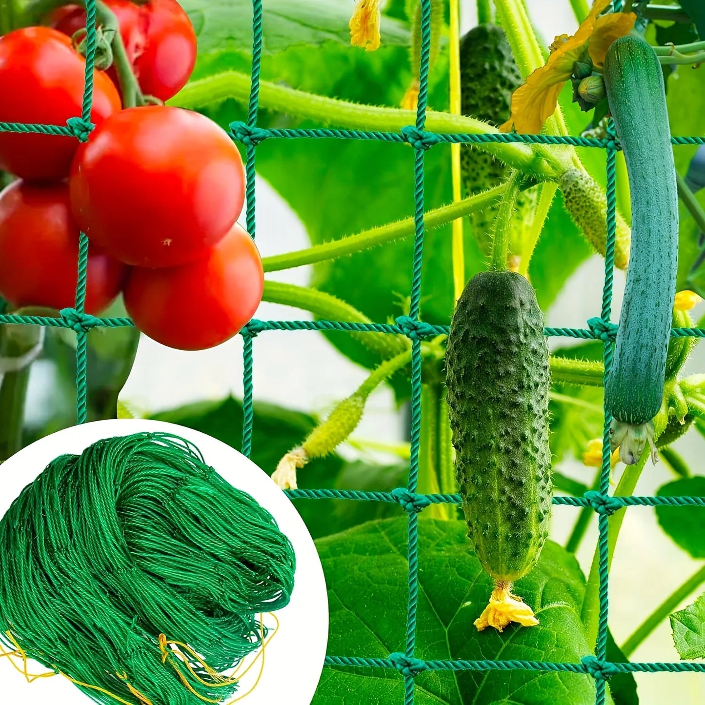 Hi-quality Nylon Garden Netting Loofah Morning Glory Flowers Vine Plants Climbing Net Cucumber Vine Grow Holder Brackets