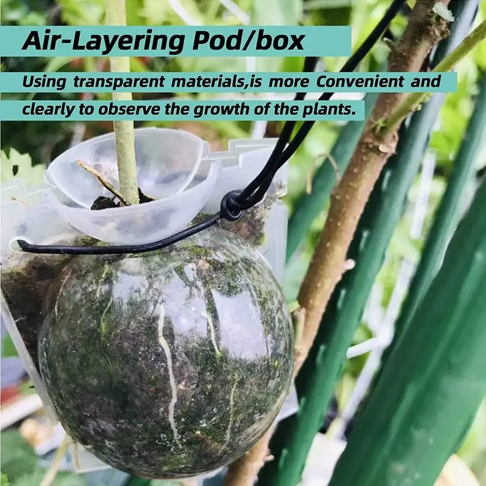5/8/12cm Air Layering Pods Plant Rooting Ball High Pressure Propagation Root Grow Box Graft Breeding Case Planting Nursery Pot