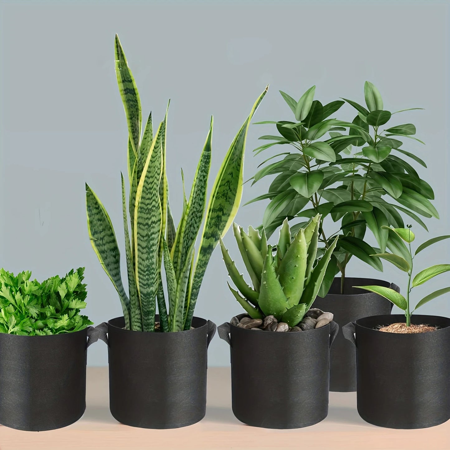 10 Gallon Grow Bags for Vegetable/Flower/Plant, 5 Gallon Aeration Fabric Pots with Handles Cloth Pots for Plants Garden Gift