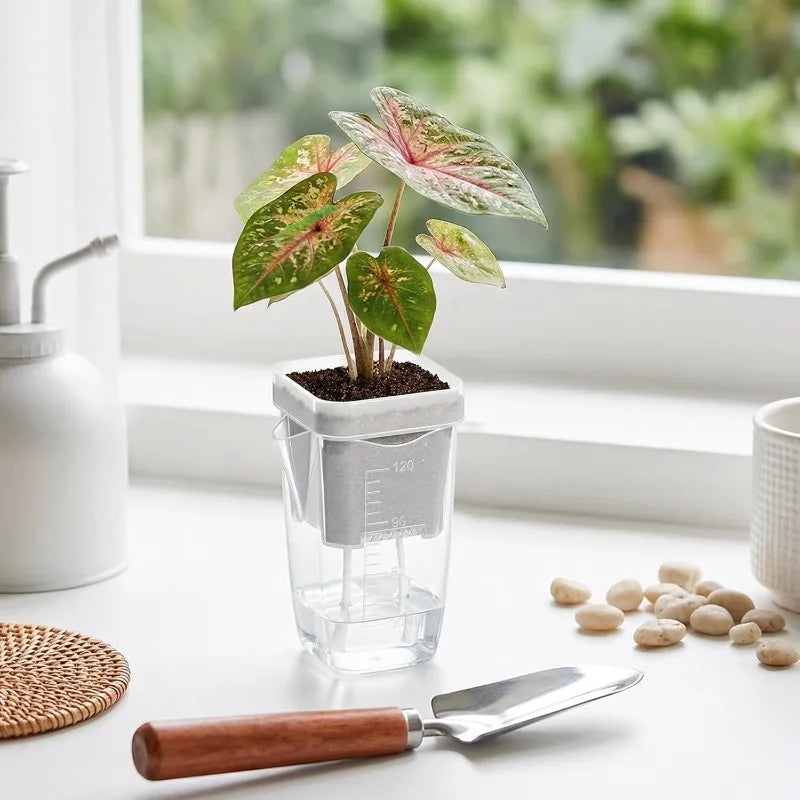 5/1pcs Transparent Self Watering Pots Automatic Absorbent Cotton Wick Plant Pot Garden Seedlings Flowerpot Nursery Cups Planters
