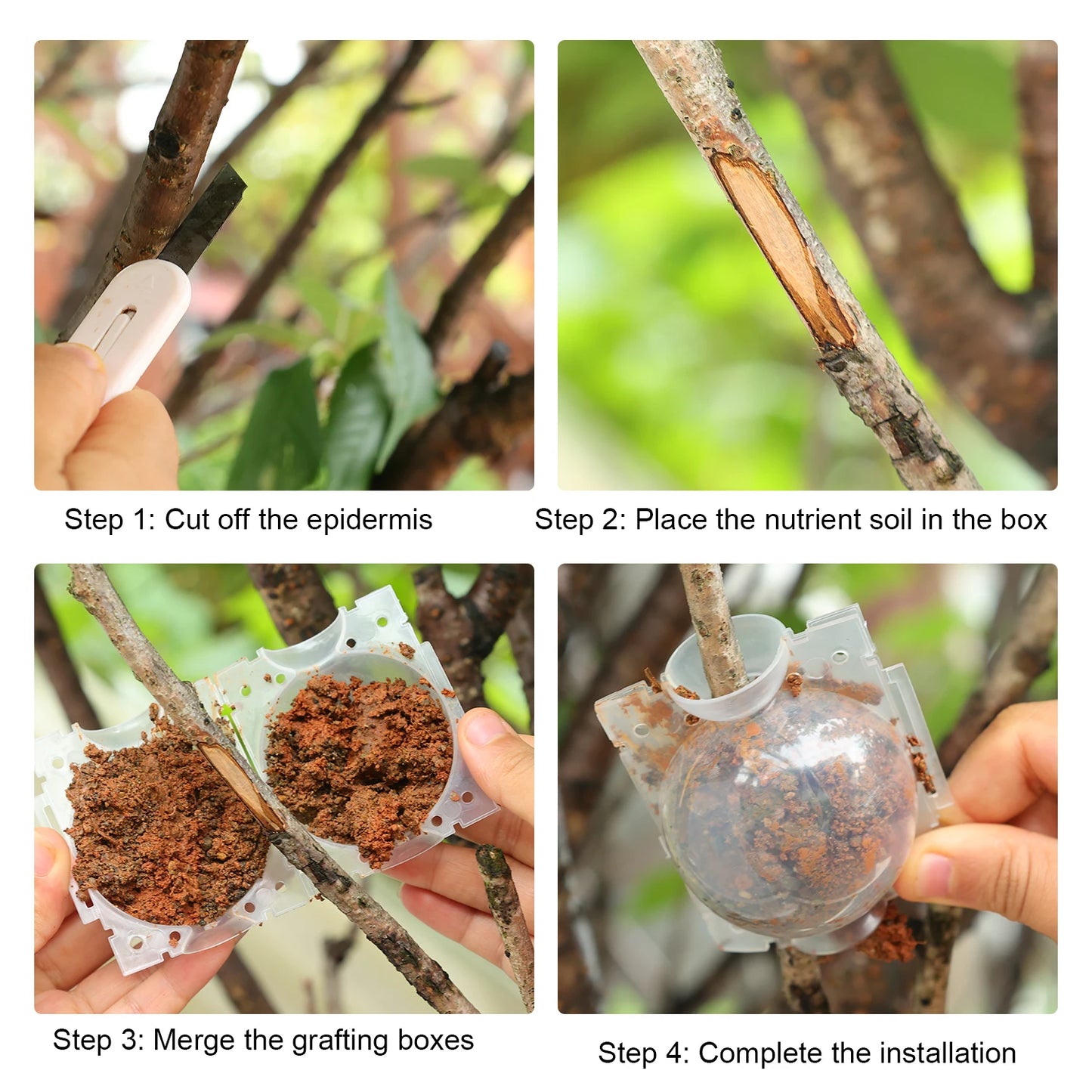 10-100PCS Plant Rooting Ball Grafting Rooting Box Breeding Case High Pressure Plant Root Growing Box For Garden Planting Supply