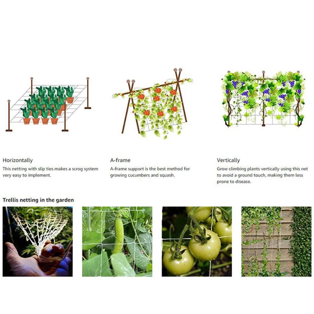 Horticultural Plant Climbing Net, Polyester Woven Net, Suitable for Other Climbing Plants Such As Tomatoes, Beans, Grapes, Etc