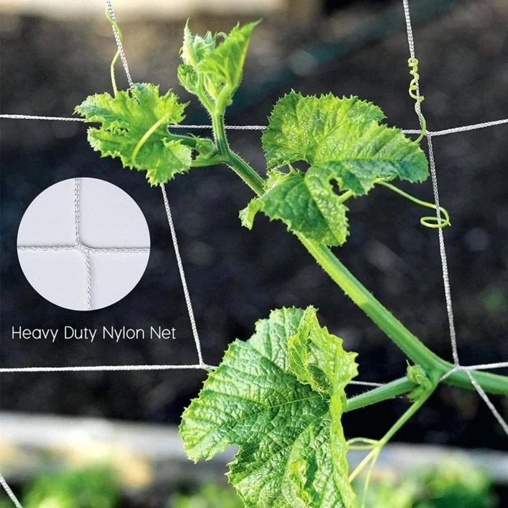 Horticultural Plant Climbing Net, Polyester Woven Net, Suitable for Other Climbing Plants Such As Tomatoes, Beans, Grapes, Etc