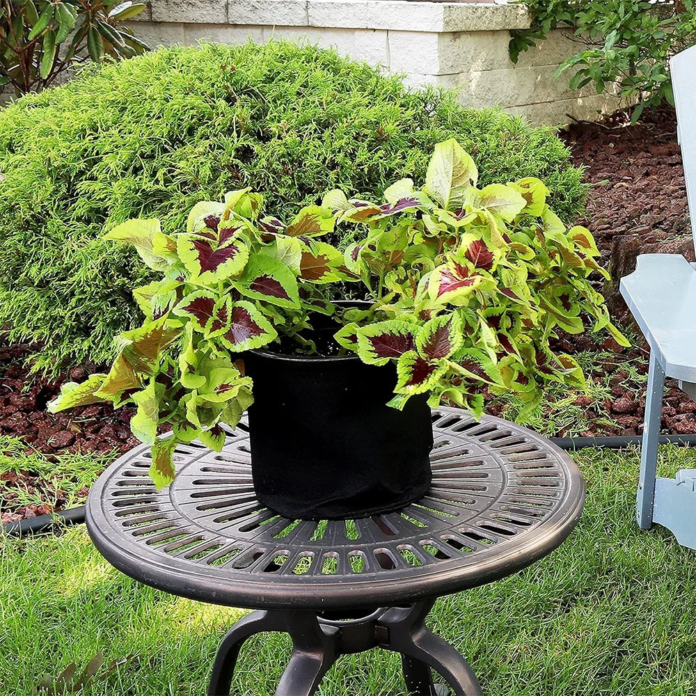 5-Pack Grow Bags/Aeration Fabric Pots with Handles(Available Capacities: 3 Gallon，4 Gallon, 5 Gallon, 7 Gallon, 30 Gallon)