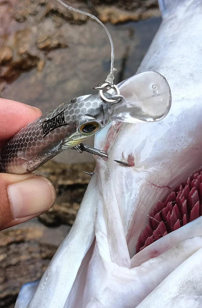 Kingdom Sinking Minnow Saltwater Fishing Lures  Crankbait  Hard Baits Good Action Wobblers Artificial Trout Lure For Sea Bass