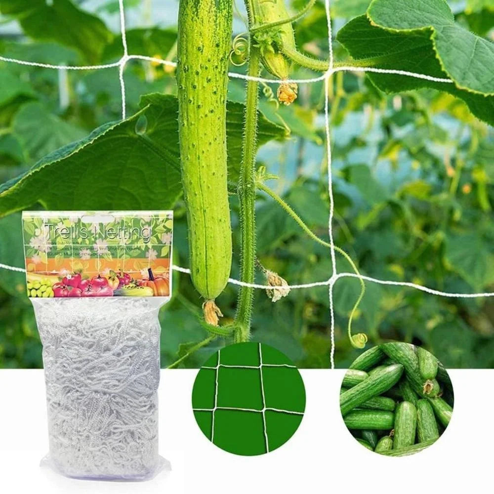 Horticultural Plant Climbing Net, Polyester Woven Net, Suitable for Other Climbing Plants Such As Tomatoes, Beans, Grapes, Etc