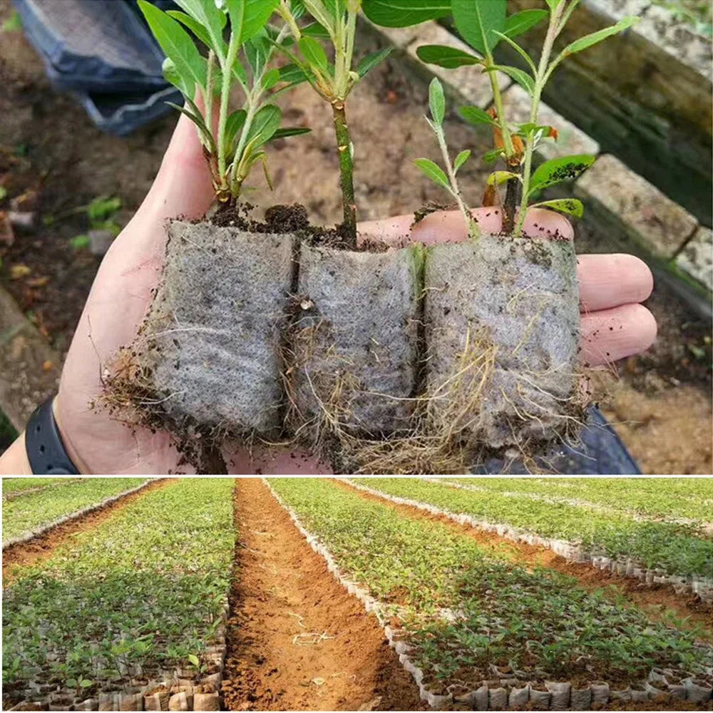 100Pcs Plant Grow Bags Nursery Bags Seeds To Sow Flower Pots Biodegradable Non-woven Fabric For Home Garden Accessories Tools