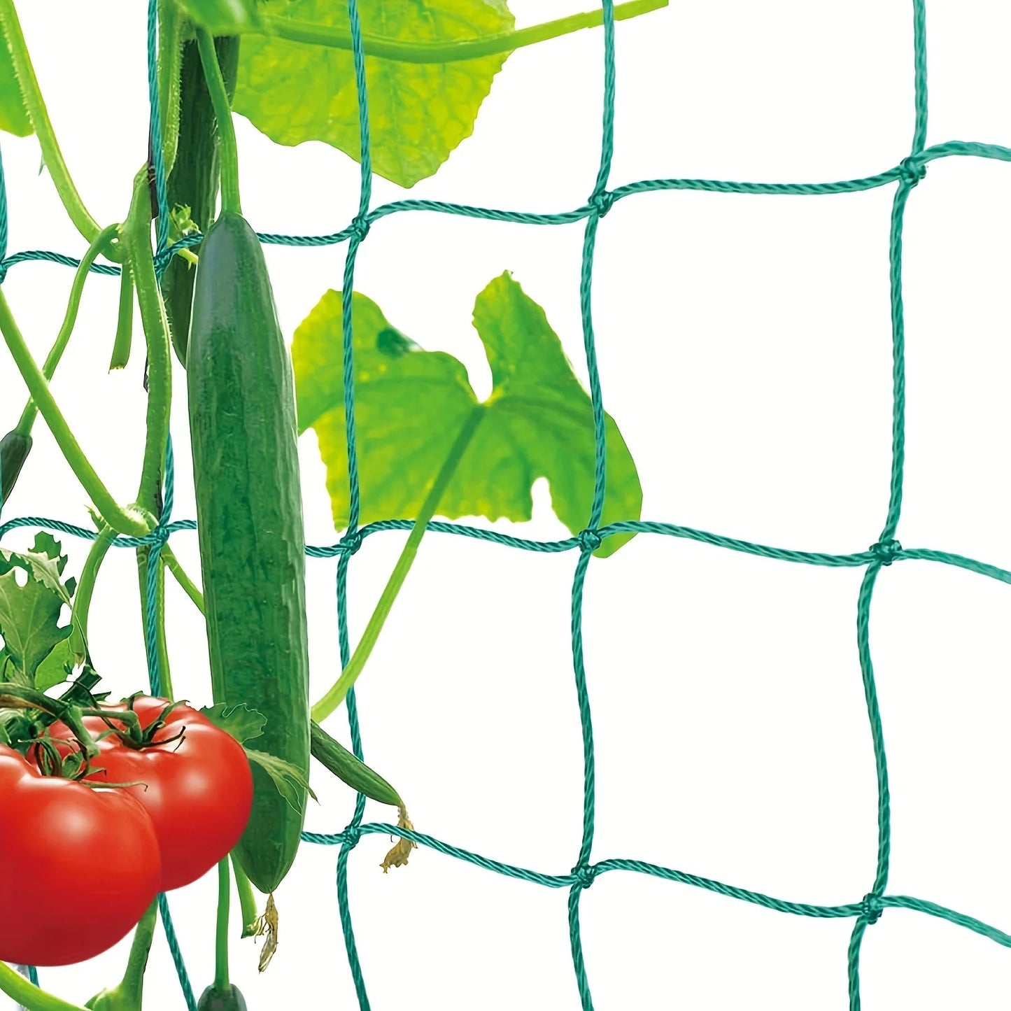 Hi-quality Nylon Garden Netting Loofah Morning Glory Flowers Vine Plants Climbing Net Cucumber Vine Grow Holder Brackets