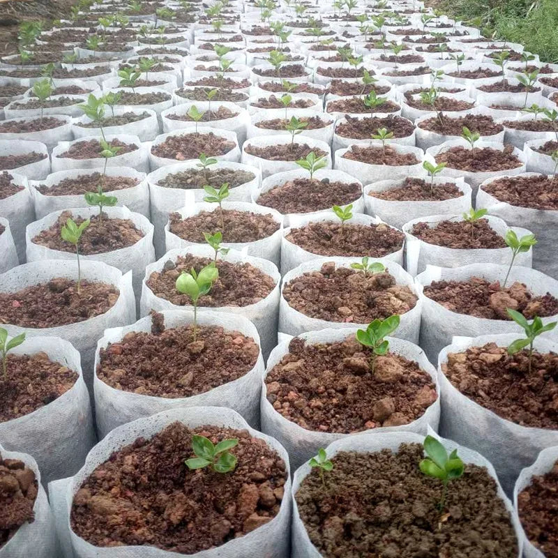 100Pcs Plant Grow Bags Nursery Bags Seeds To Sow Flower Pots Biodegradable Non-woven Fabric For Home Garden Accessories Tools